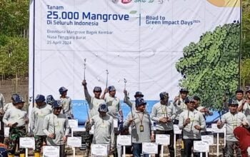 Green Impact Days 2024: Komitmen Tangguh Kasdim 1606/Mataram dalam Penanaman Mangrove Se-Indonesia