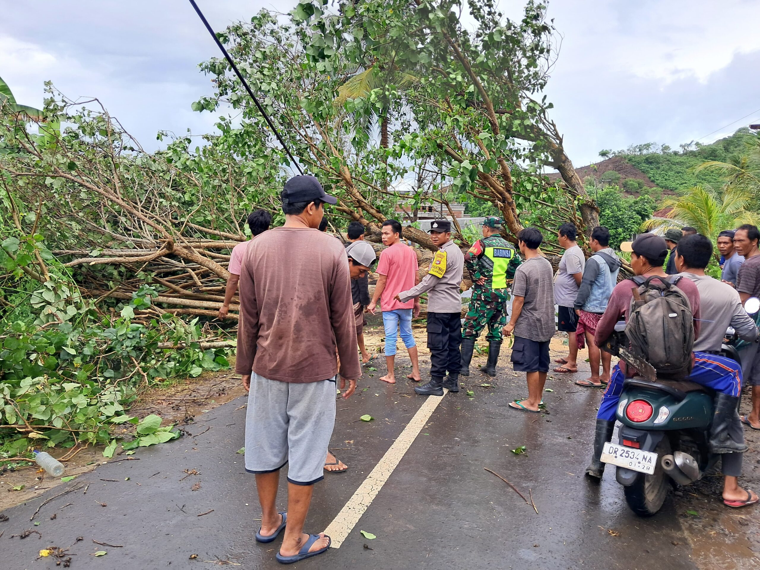 Cuaca Ekstrem Sekotong, Pohon Tumbang & Gelombang Pasang Terjang Dua Desa