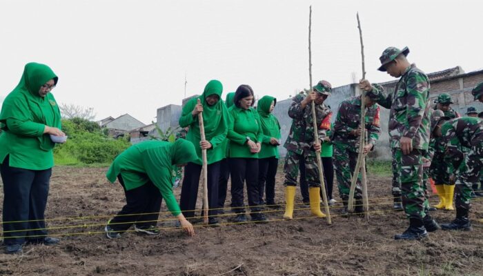 Kolaborasi TNI dan Masyarakat Wujudkan Suasembada Pangan di Sandik