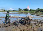 Sinergi Babinsa dan Poktan, Lahan Padi Siap Dibajak