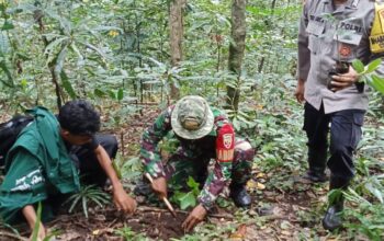 Sinergi Warga dan Mahasiswa Hijaukan Hutan Desa Gondang