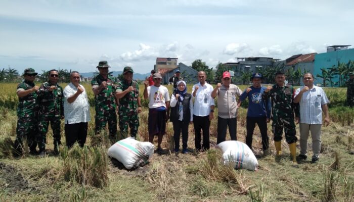 Sinergi TNI-Bulog Jaga Ketahanan Pangan di Kota Mataram