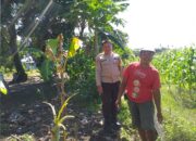 Sinergi Polri & Warga Jagaraga, Dukung Program Ketahanan Pangan