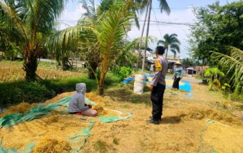 Lombok Barat, NTB – Kapolsek Kediri, AKP Jahyadi Sibawaih, S.H., memimpin langsung kegiatan ibadah Salat Tarawih keliling bersama personel Polsek Kediri di Masjid Kembar Menara Tunggal, Desa Banyumulek, Kecamatan Kediri, Kabupaten Lombok Barat, pada Selasa malam (25/3/2025). Kegiatan ini merupakan bagian dari program Polres Lombok Barat dalam rangka mempererat sinergi antara Polri dan masyarakat menyambut datangnya Bulan Suci Ramadhan 1446 Hijriyah. Kegiatan ibadah yang dimulai pukul 20.00 WITA ini diawali dengan Salat Isya berjamaah, yang kemudian dilanjutkan dengan Salat Tarawih yang dipimpin oleh Ustaz Hardian. Kehadiran anggota kepolisian di tengah-tengah masyarakat ini bertujuan untuk memberikan rasa aman dan nyaman bagi umat Islam yang sedang menjalankan ibadah puasa. Meningkatkan Keamanan dan Kenyamanan Masyarakat Ditemui usai kegiatan, Kapolsek Kediri, AKP Jahyadi Sibawaih, S.H., menyampaikan bahwa kegiatan Tarawih keliling ini merupakan wujud nyata kehadiran Polri di tengah masyarakat, khususnya dalam momen penting seperti Bulan Ramadhan. “Kami dari Polsek Kediri bersama Polres Lombok Barat memiliki program untuk melaksanakan Tarawih keliling di berbagai masjid di wilayah hukum kami. Malam ini, kami berkesempatan untuk melaksanakan ibadah di Masjid Kembar Menara Tunggal Banyumulek. Tujuan utama kami adalah untuk mendekatkan diri dengan masyarakat, memberikan rasa aman dan nyaman saat mereka beribadah, serta mempererat tali silaturahmi,” ujar AKP Jahyadi. Program Sinergi Polri dan Masyarakat Lebih lanjut, AKP Jahyadi menjelaskan bahwa kegiatan ini merupakan implementasi dari program Polres Lombok Barat yang menekankan pentingnya sinergi antara Polri dan masyarakat. Menurutnya, keamanan dan ketertiban masyarakat tidak dapat terwujud tanpa adanya dukungan dan kerjasama yang baik dari seluruh elemen masyarakat. “Kami berharap dengan kehadiran kami di sini, masyarakat merasa lebih tenang dan khusyuk dalam menjalankan ibadah. Selain itu, ini juga menjadi sarana bagi kami untuk mendengar langsung aspirasi dan keluhan dari masyarakat terkait keamanan dan ketertiban di lingkungan mereka,” imbuhnya. Respon Positif dari Masyarakat Kegiatan Tarawih keliling yang dilaksanakan oleh Kapolsek Kediri dan personel Polsek Kediri ini mendapatkan respon positif dari masyarakat Desa Banyumulek. Mereka merasa senang dan mengapresiasi kehadiran pihak kepolisian yang turut serta dalam kegiatan keagamaan. Ustaz Hardian, imam Salat Tarawih pada malam itu, menyampaikan rasa terima kasihnya atas kehadiran Kapolsek dan jajaran Polsek Kediri. Menurutnya, kehadiran polisi dalam kegiatan ibadah ini memberikan dampak positif bagi masyarakat. “Kami sangat berterima kasih atas kehadiran Bapak Kapolsek dan anggota polisi lainnya. Ini menunjukkan bahwa polisi tidak hanya bertugas menjaga keamanan, tetapi juga peduli terhadap kegiatan keagamaan masyarakat. Kami merasa lebih aman dan nyaman dalam menjalankan ibadah,” kata Ustaz Hardian. Kegiatan ibadah Salat Tarawih keliling di Masjid Kembar Menara Tunggal Desa Banyumulek ini berjalan dengan aman dan lancar hingga berakhir pada pukul 21.05 WITA. Diharapkan, kegiatan serupa dapat terus dilaksanakan untuk mempererat hubungan antara Polri dan masyarakat serta menciptakan suasana yang kondusif selama Bulan Suci Ramadhan.