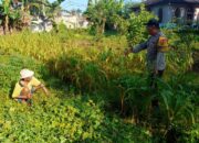 Dekat dengan Petani, Bhabinkamtibmas Karang Bongkot Bantu Perkuat Pertanian
