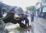 Babinsa dan Warga Bersihkan Pohon Tumbang di Mataram