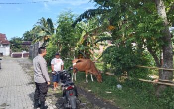 Sosialisasi Pangan Sehat: Bhabinkamtibmas Ajak Warga Tanam Sayur
