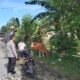 Peran Bhabinkamtibmas dalam Sosialisasi Program P2B di Lombok Barat