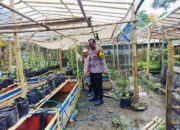 Polri Terlibat Aktif dalam Ketahanan Pangan Nasional melalui Kegiatan Sambang di Lombok Barat