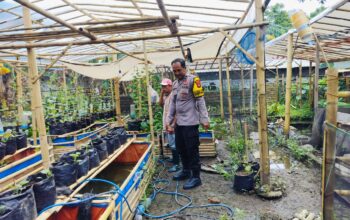 Polri Terlibat Aktif dalam Ketahanan Pangan Nasional melalui Kegiatan Sambang di Lombok Barat