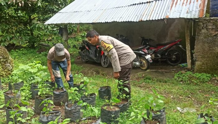 Sinergi Polri dan Warga di Desa Batulayar, Ketahanan Pangan Kian Kuat