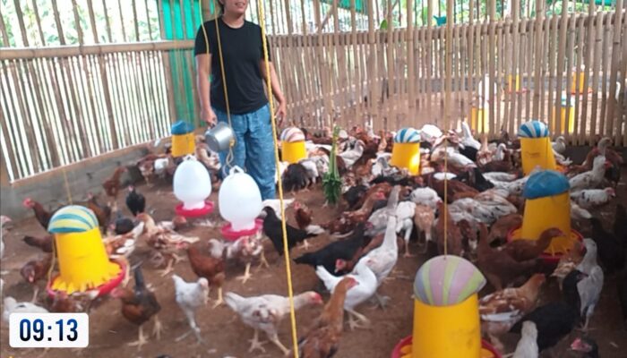 Sinergi Polri dan Warga Dukung Program Ketahanan Pangan di Lombok Barat