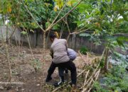 Pentingnya Ketahanan Pangan: Bhabinkamtibmas Kuripan Utara Berkunjung ke Dusun Pelulan