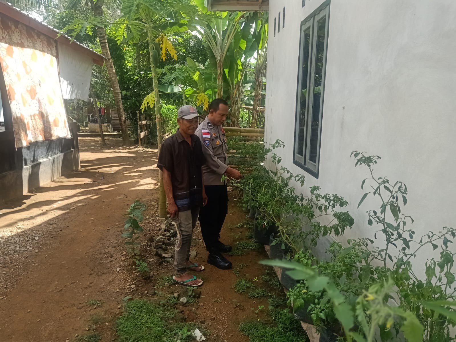 Polri dan Warga Bangun Ketahanan Pangan Lewat Pekarangan Rumah di Sekotong