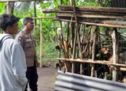 Kolaborasi Polisi dan Warga Bhabinkamtibmas Senggigi Perkuat Ketahanan Pangan di Dusun Krandangan