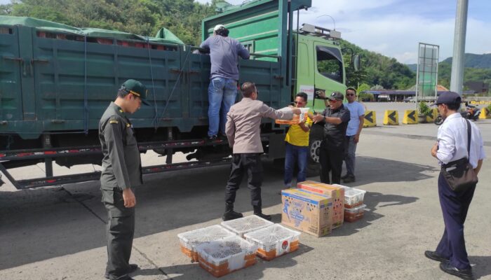 Penyelundupan Burung Ilegal Digagalkan di Pelabuhan ASDP Lembar