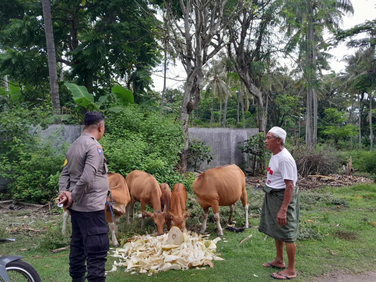 Ketahanan Pangan NTB Menguat: Sinergi Polisi & Warga di Lombok Barat Berbuah Positif