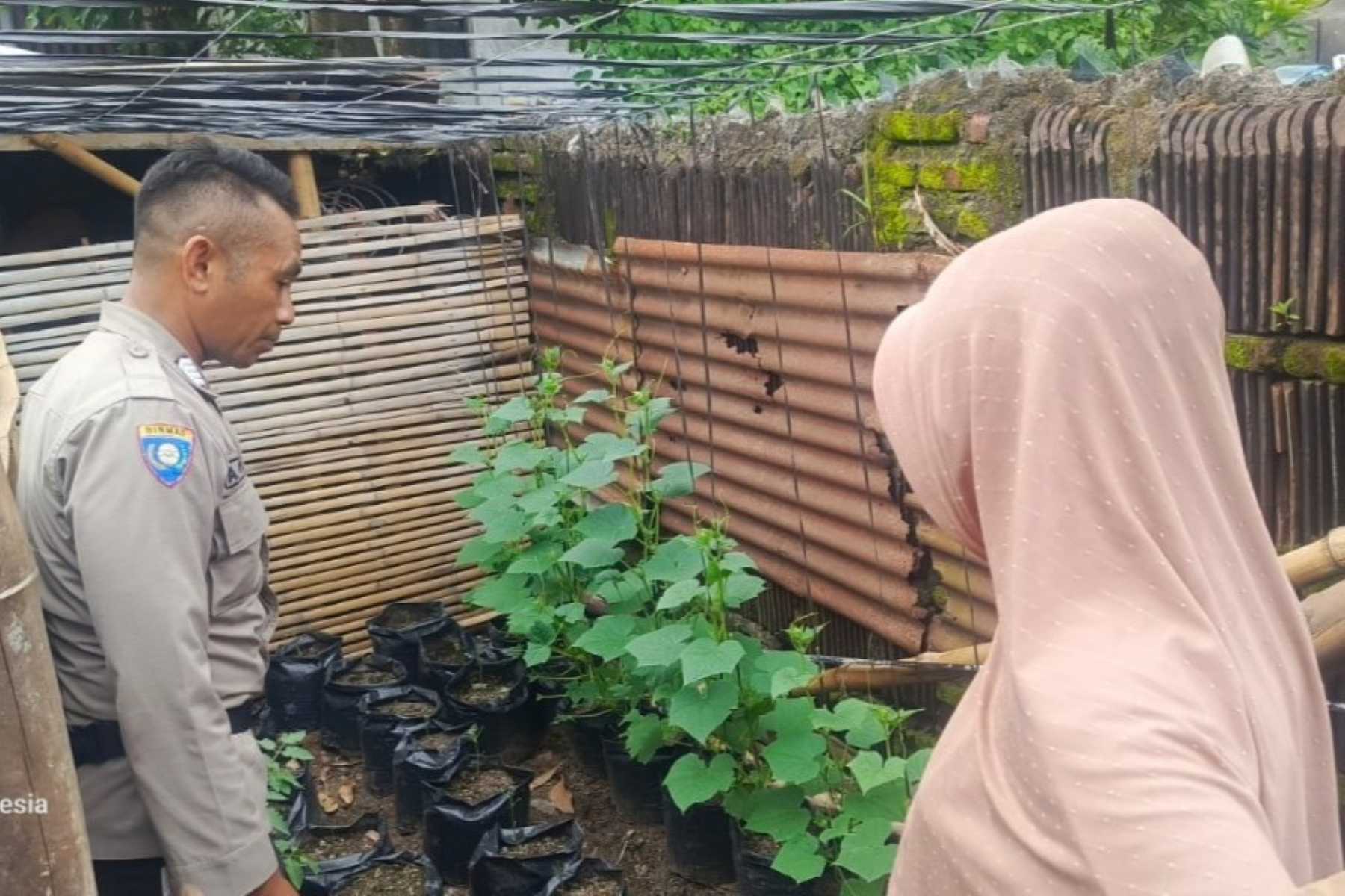 Sinergi Polri dan Masyarakat Lombok Barat Wujudkan Ketahanan Pangan Lokal