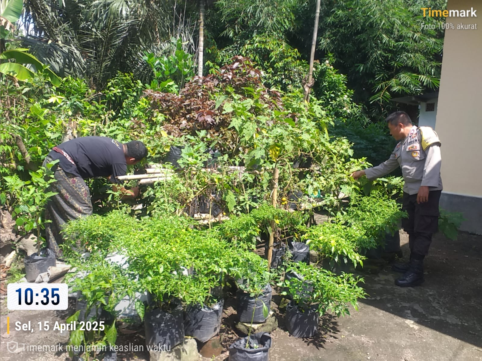 Bhabinkamtibmas Kuripan Aktif Sosialisasikan Program Pangan