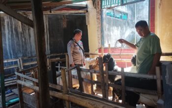 Program Ketahanan Pangan: Bhabinkamtibmas Desa Batulayar Barat Ajak Warga Manfaatkan Pekarangan Rumah