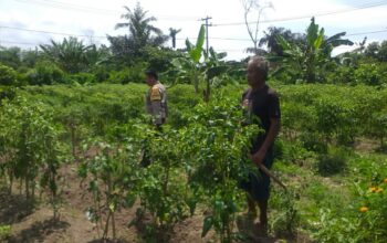 Bhabinkamtibmas Dorong Warga Optimalkan Lahan untuk Pangan