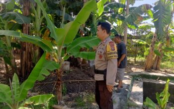 Inisiatif Bhabinkamtibmas: Memperkuat Ketahanan Pangan Melalui Kerja Sama dengan Masyarakat Desa Terong Tawah