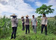 Dukungan Polres Lobar untuk Ketahanan Pangan Lokal