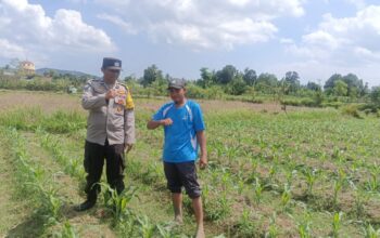 Bhabinkamtibmas Desa Beleka Lakukan Silaturahmi, Dukung Ketahanan Pangan Lokal