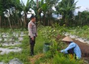Mendorong Ketahanan Pangan di Desa Jagaraga: Peran Polri dan Masyarakat
