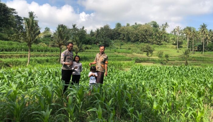 Polri Dampingi Ketahanan Pangan di Desa Mareje