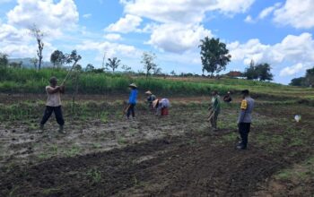 Peran Polri Dalam Swasembada Pangan di Sekotong, NTB