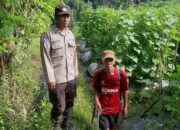 Bhabinkamtibmas Kediri Aktif Dorong Swasembada Pangan Desa