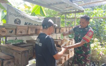 TNI Bantu Tingkatkan Kualitas Produksi Madu Warga